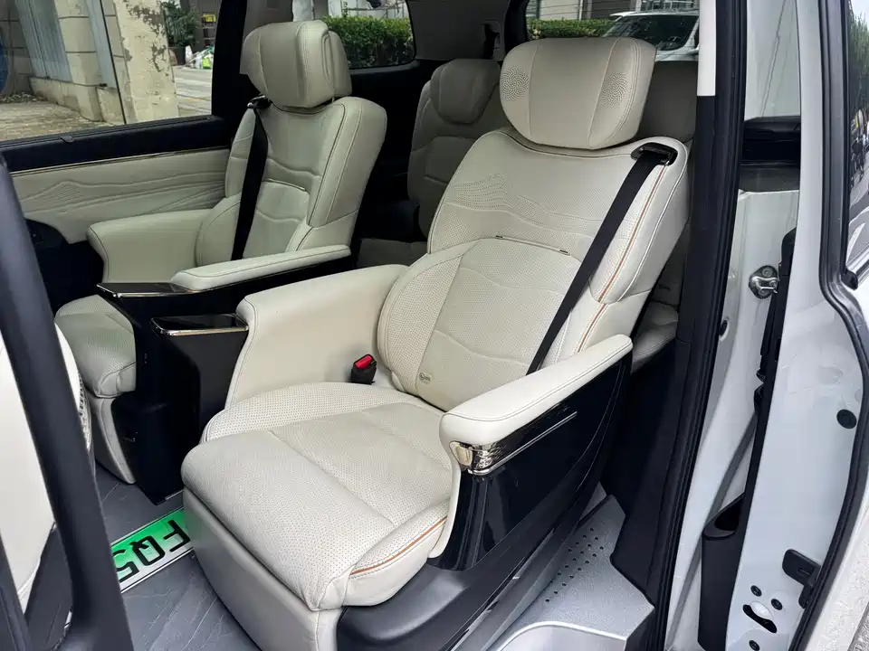 Trumpchi Trumpchi E9