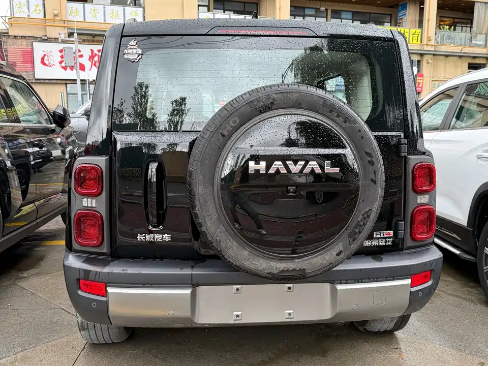 Haval Raptors