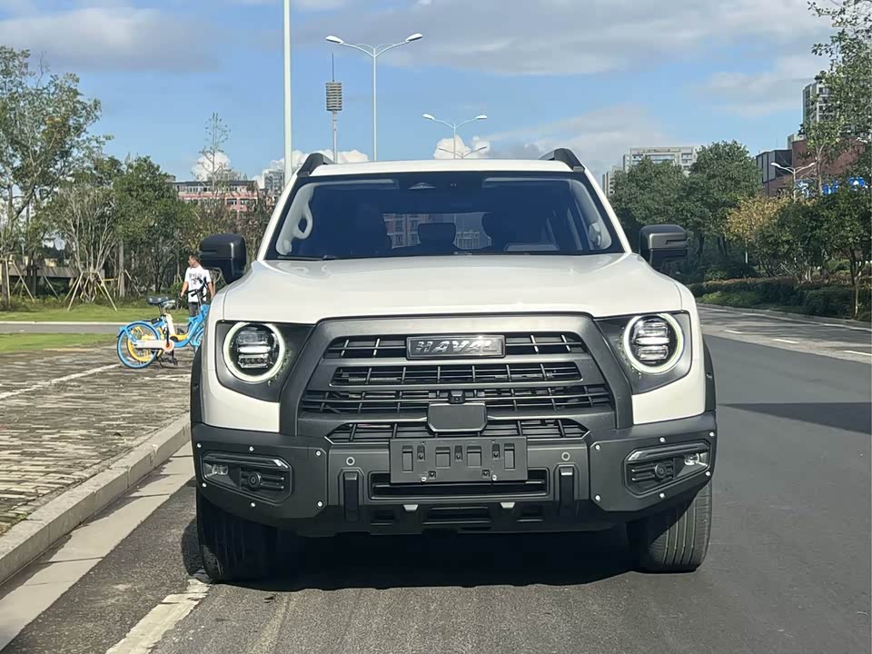 Haval Big dog
