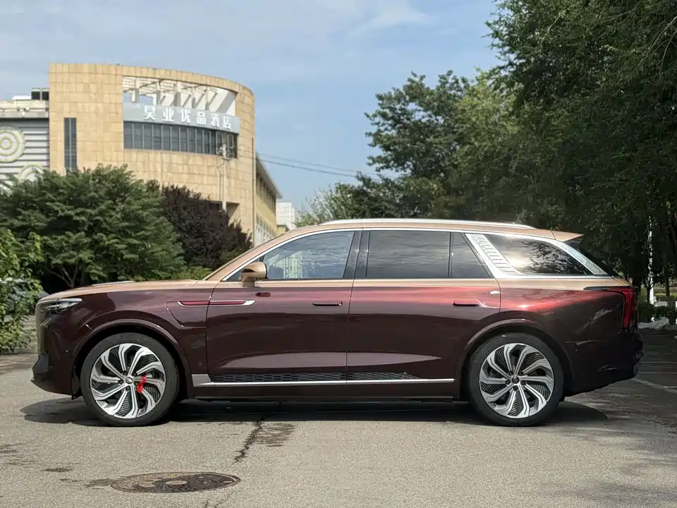 Hongqi E-HS9