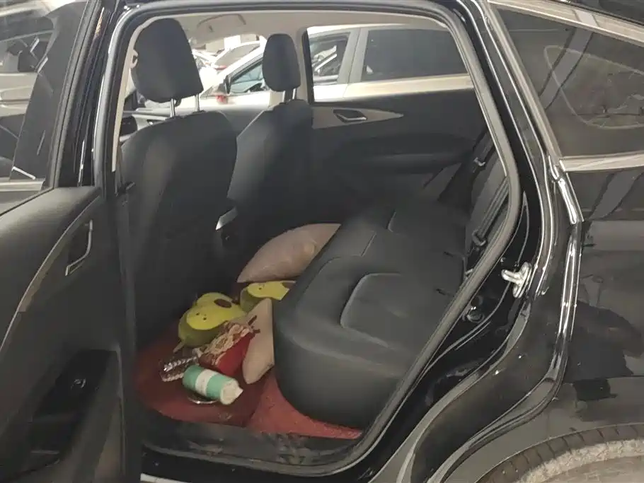 Wuling Wuling Starlight