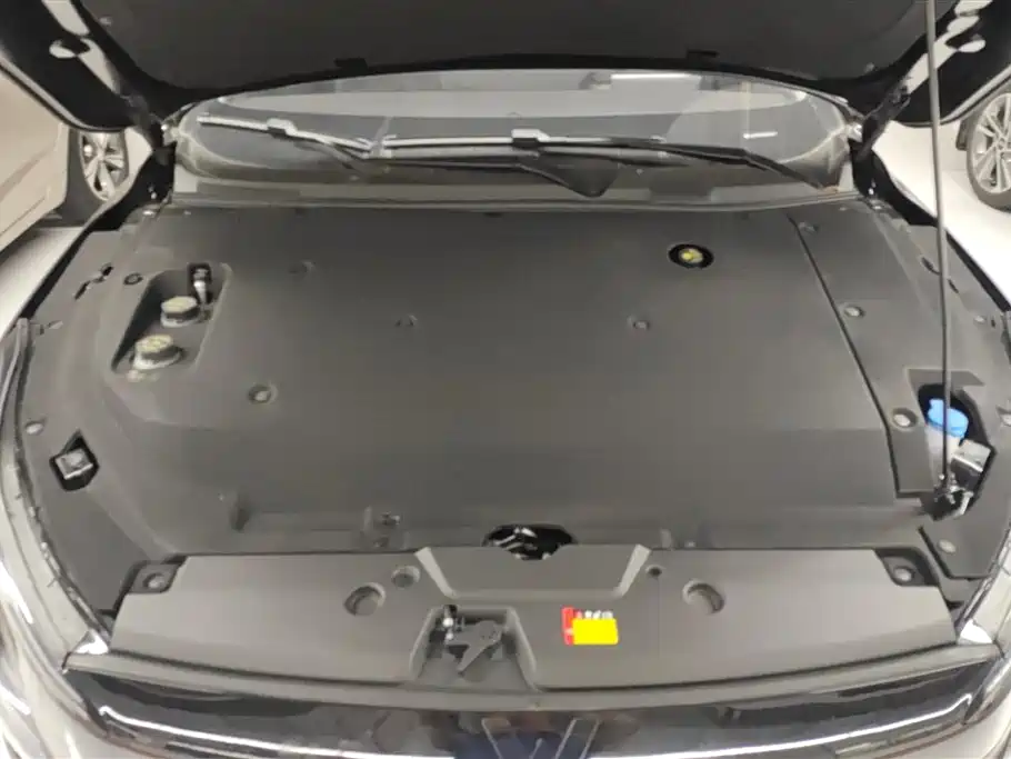 Wuling Wuling Starlight