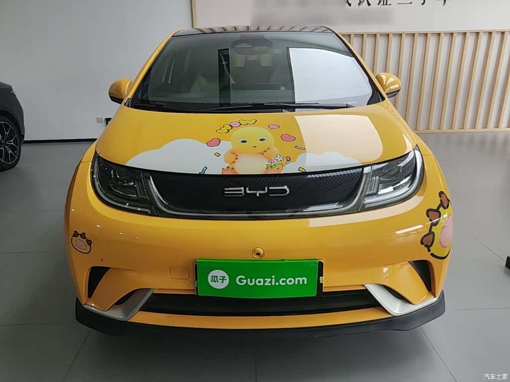 BYD Dolphin, 2023 3