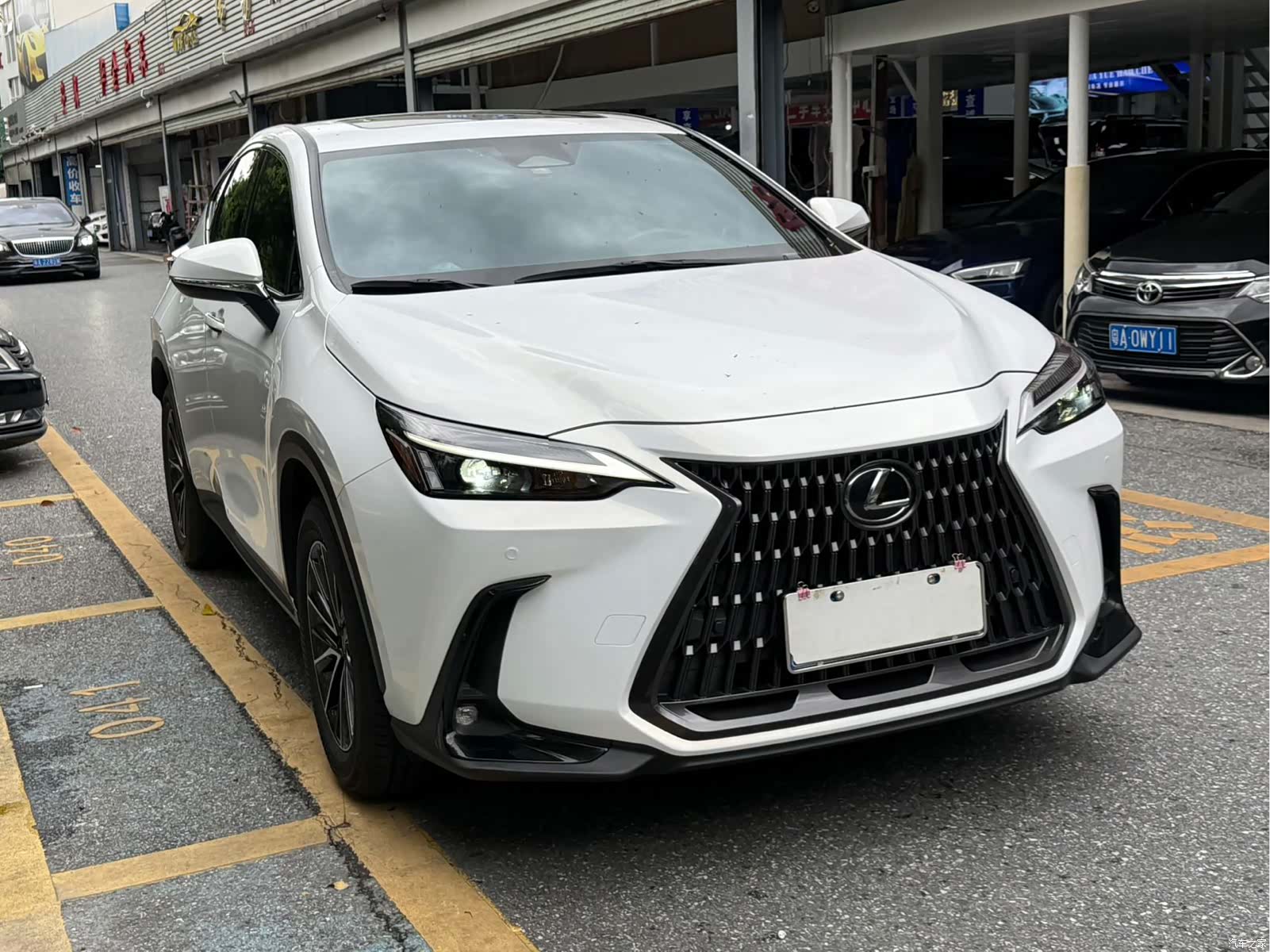 Lexus NX, 2022 все фото