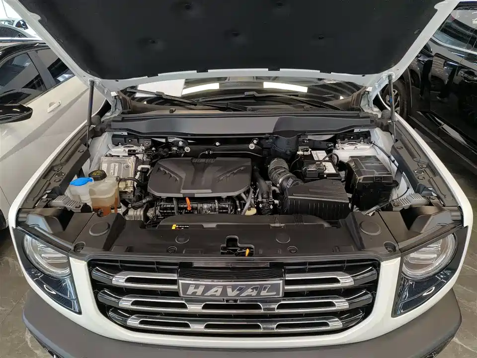 Haval Big dog