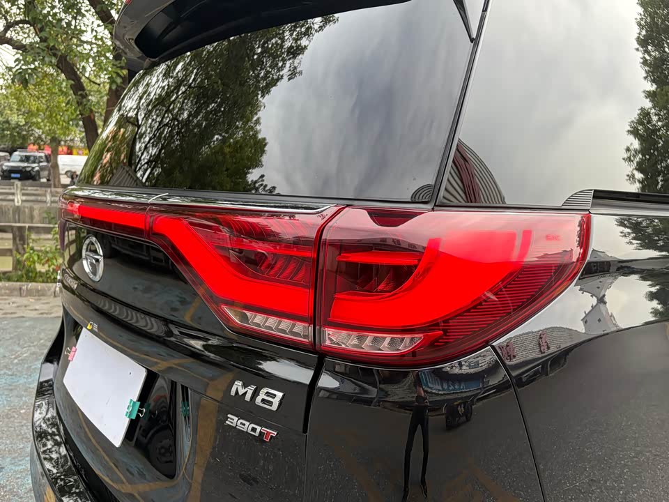Trumpchi Trumpchi M8