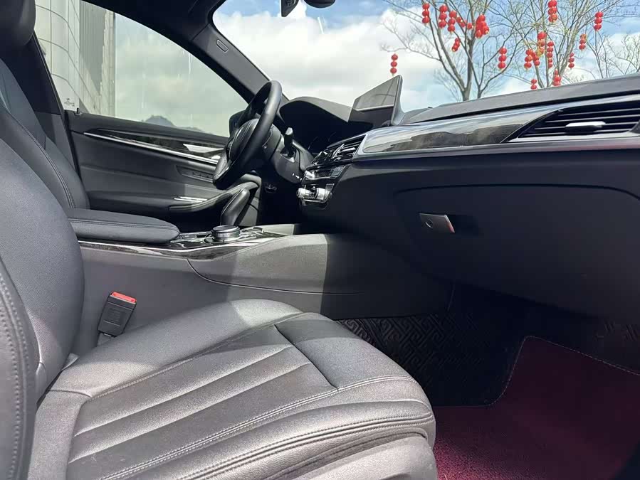BMW 5 Series 2018, фото 8