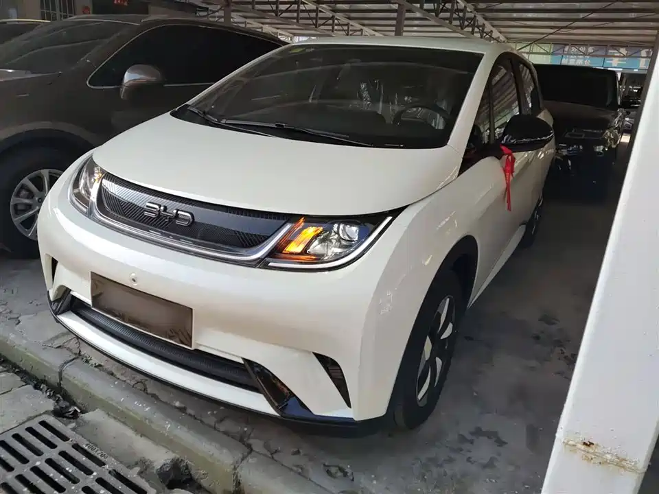 BYD dolphin BYD dolphin