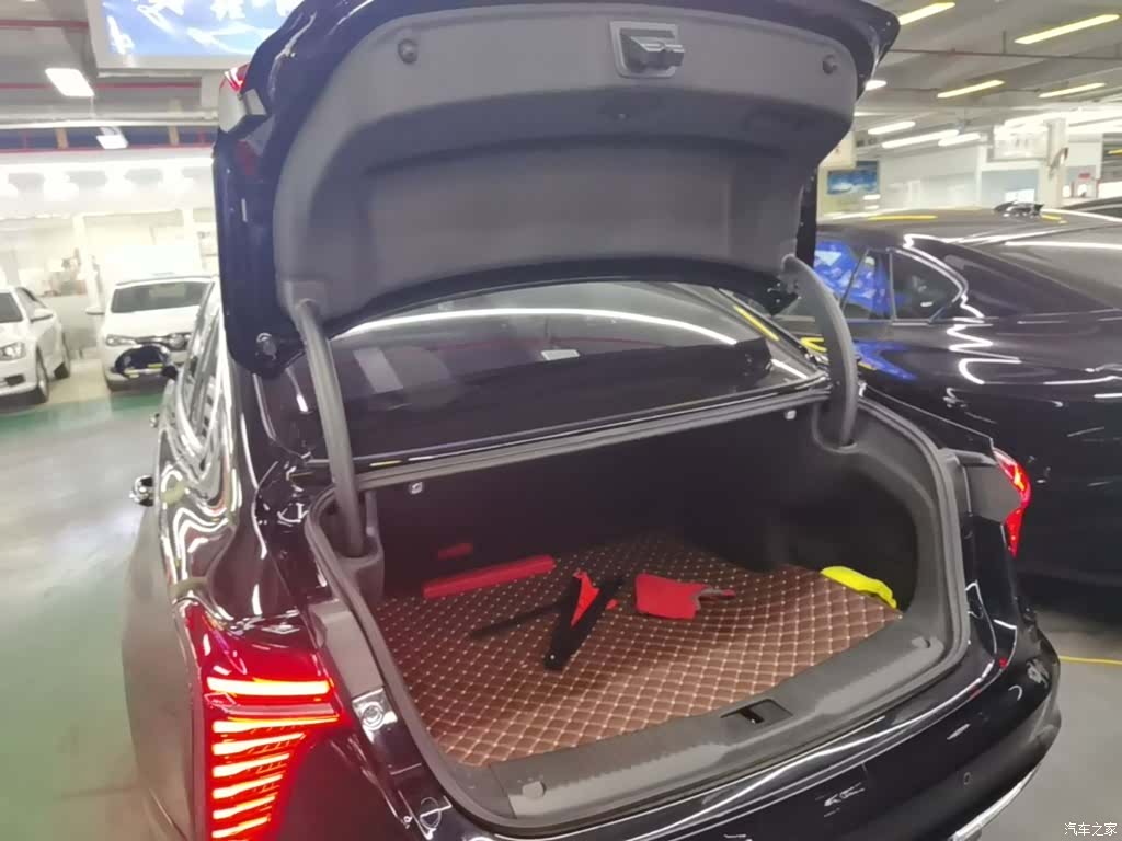 Hongqi H5, 2024 19