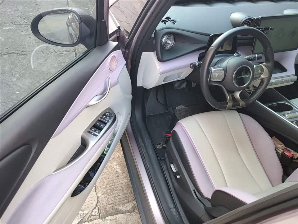 BYD dolphin BYD dolphin