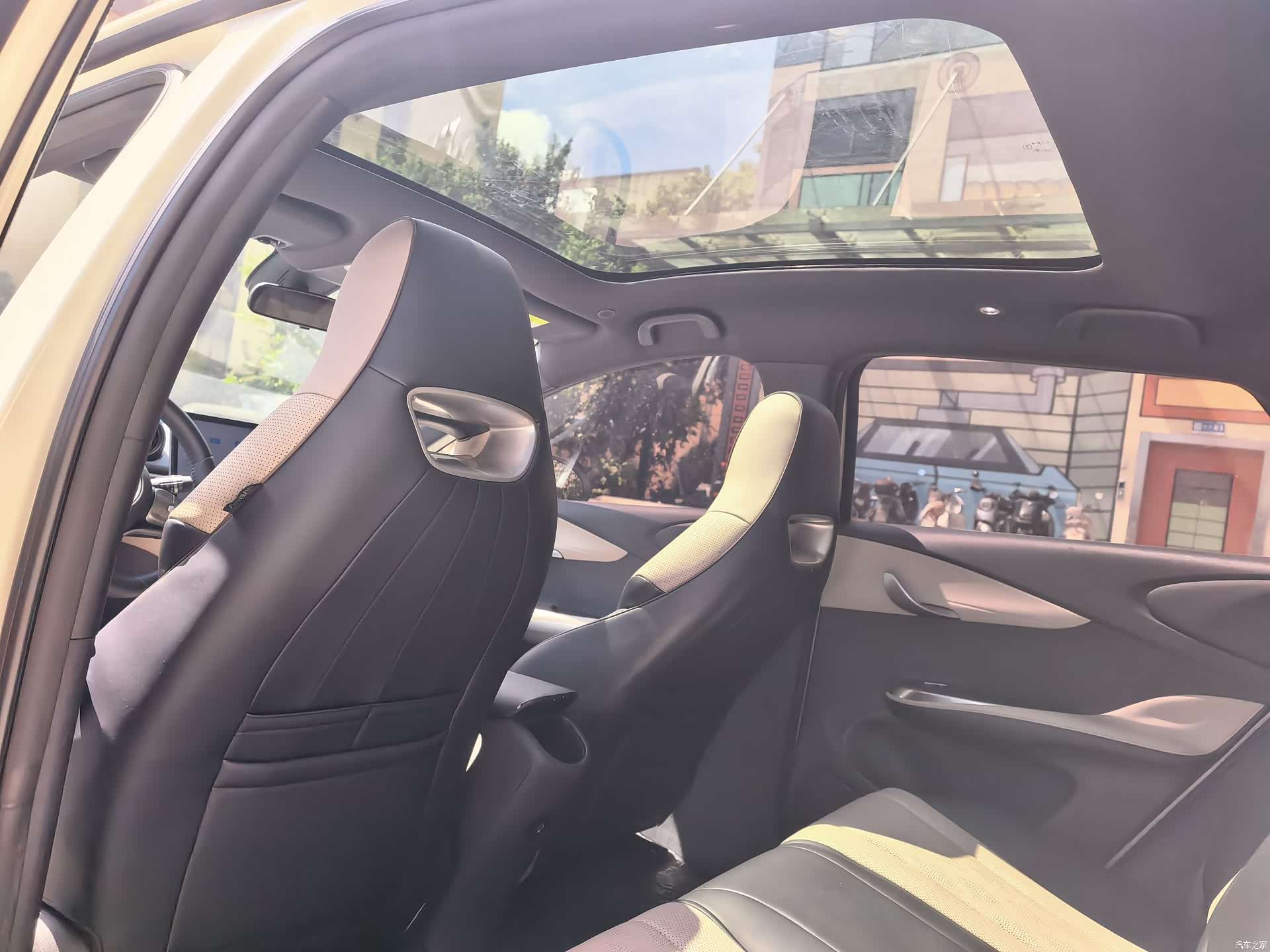 BYD Dolphin, 2023 13