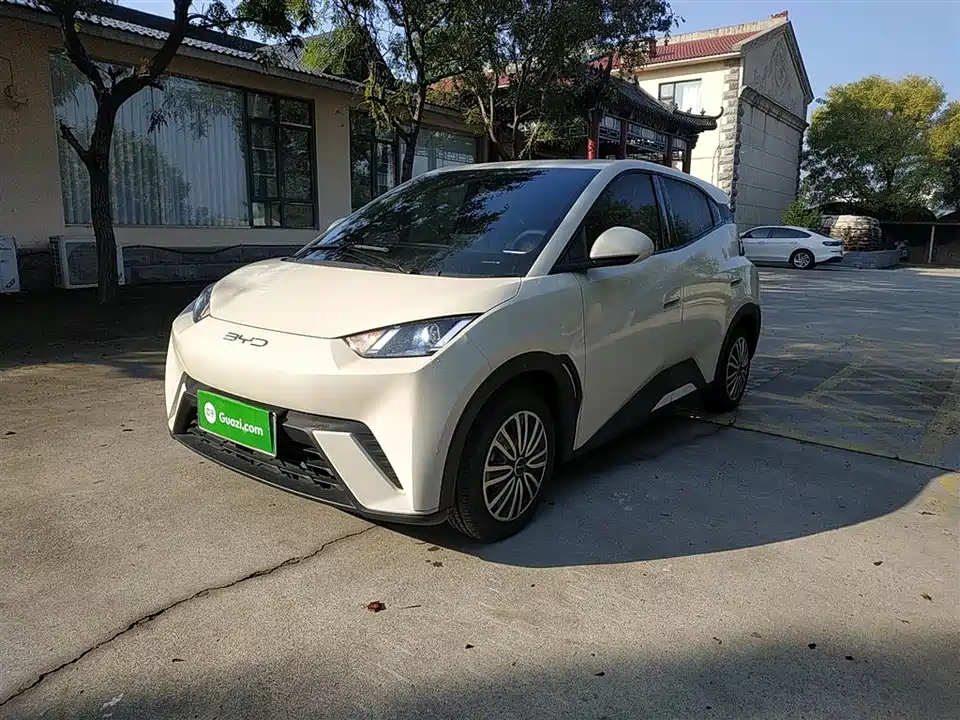 BYD Seagull