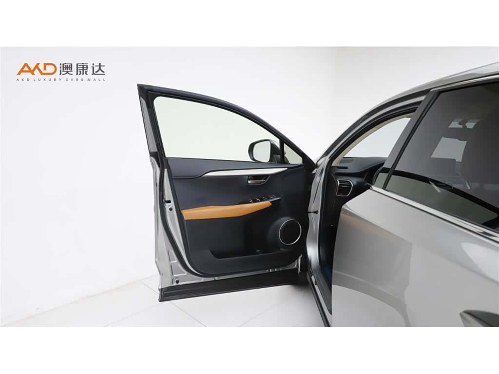 Lexus NX, 2020 10