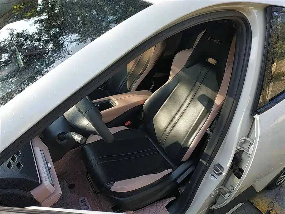 BYD Seagull