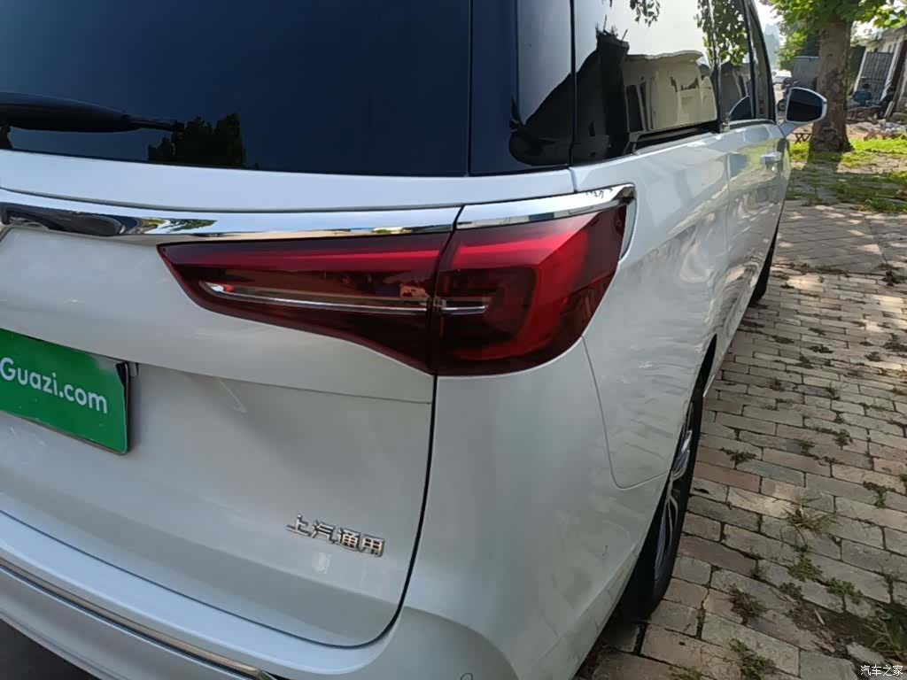 Buick GL8, 2024 8