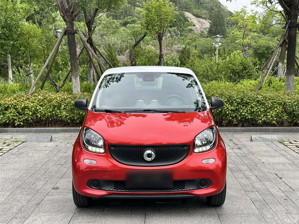 Smart Forfour, 2017 24