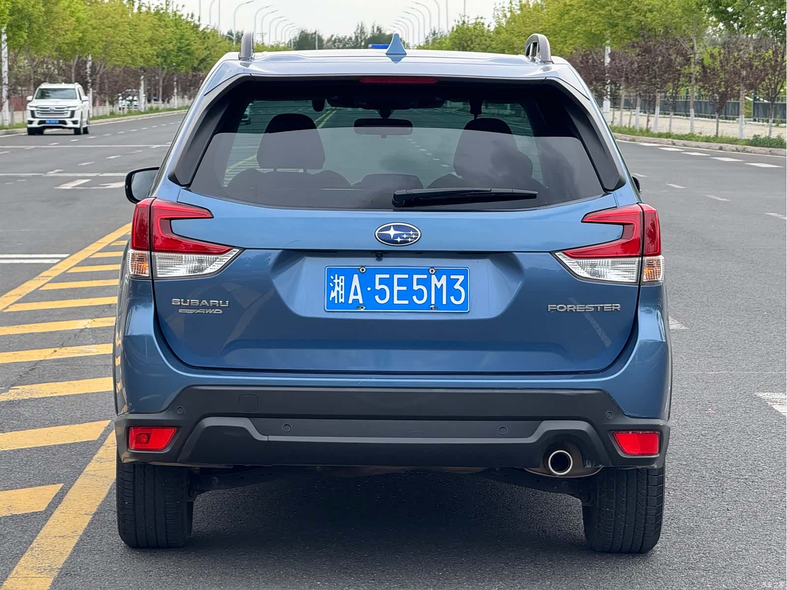 Subaru Forester, 2022 все фото