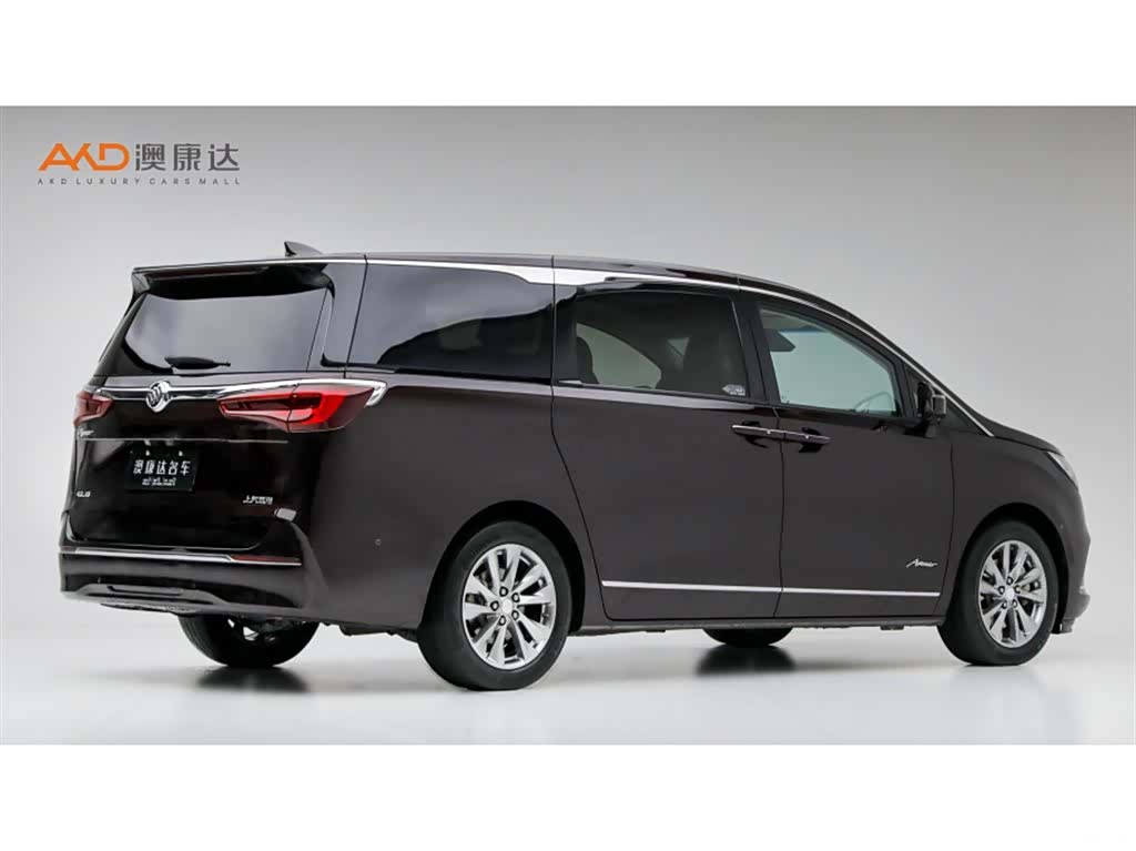 Buick GL8, 2020 3