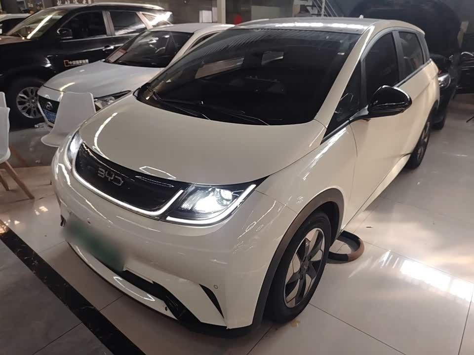 BYD dolphin