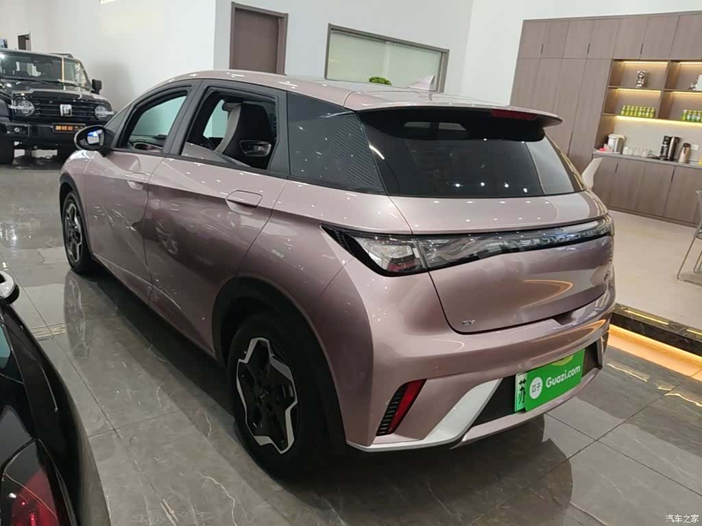 BYD Dolphin, 2022 все фото