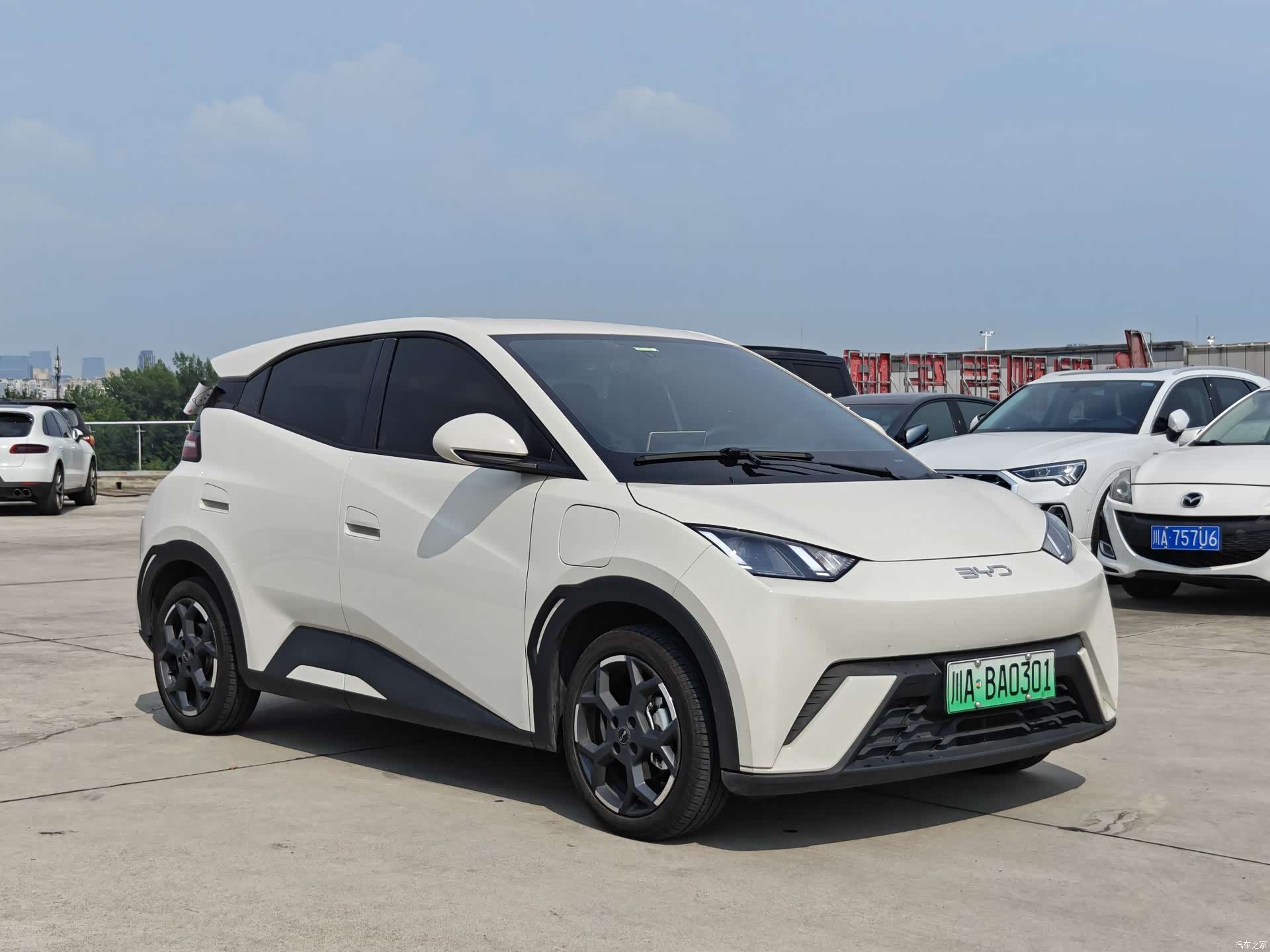 BYD Seagull, 2024 3