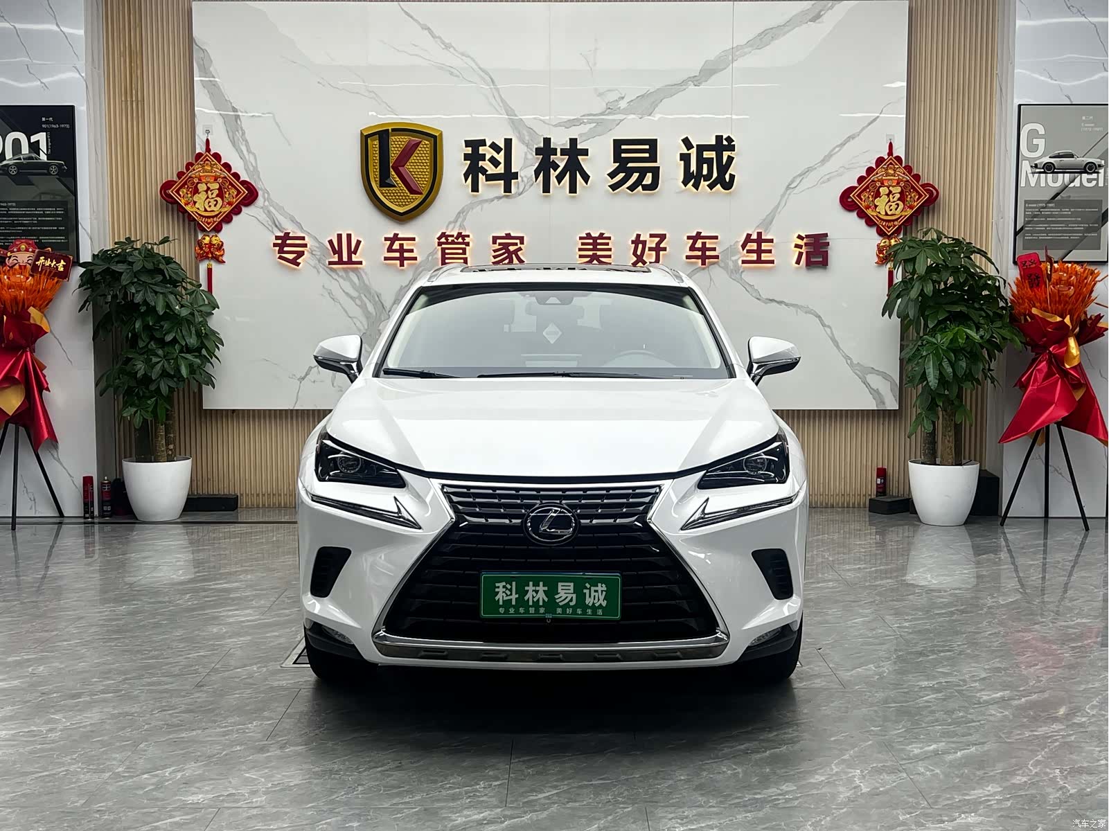 Lexus NX, 2021 2