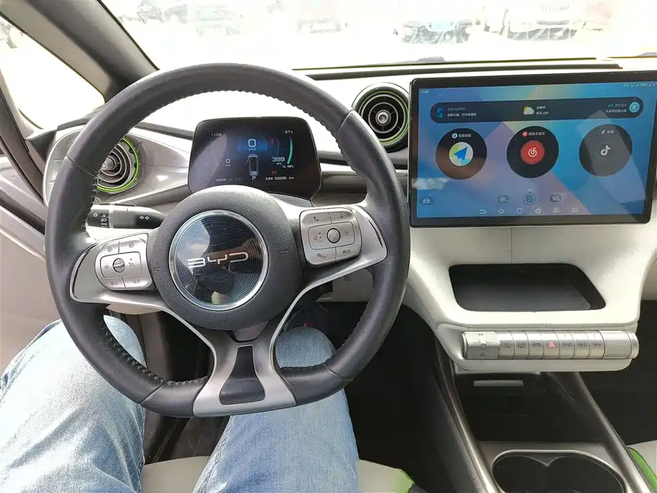 BYD dolphin BYD dolphin