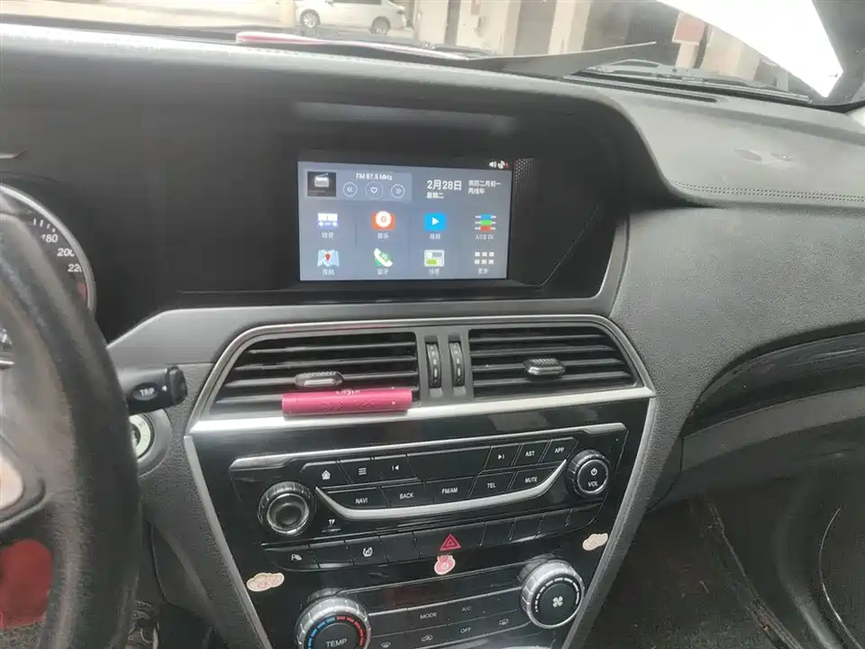 Leopaard Cheetah CS10