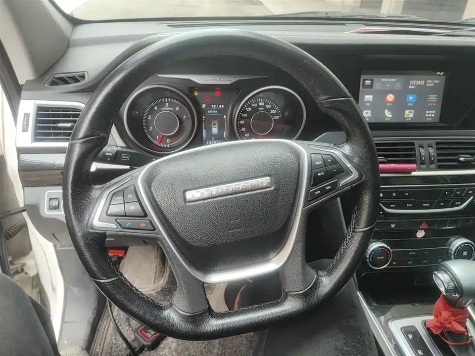 Leopaard Cheetah CS10