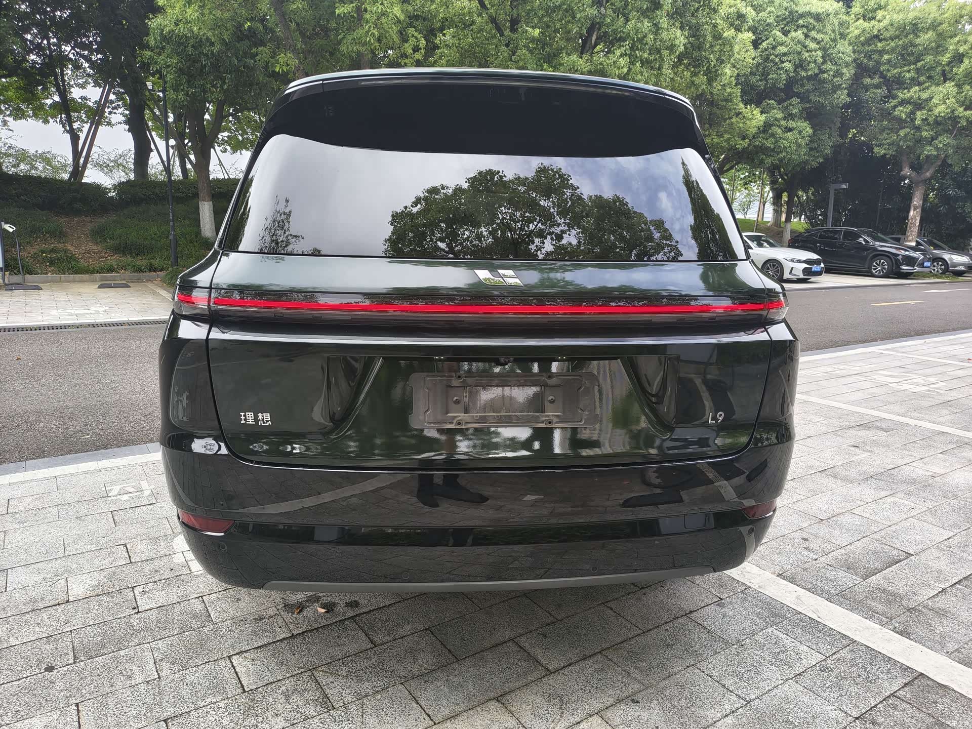 Li Auto L9, 2024 8