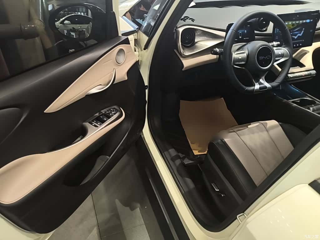 BYD Dolphin, 2025 10