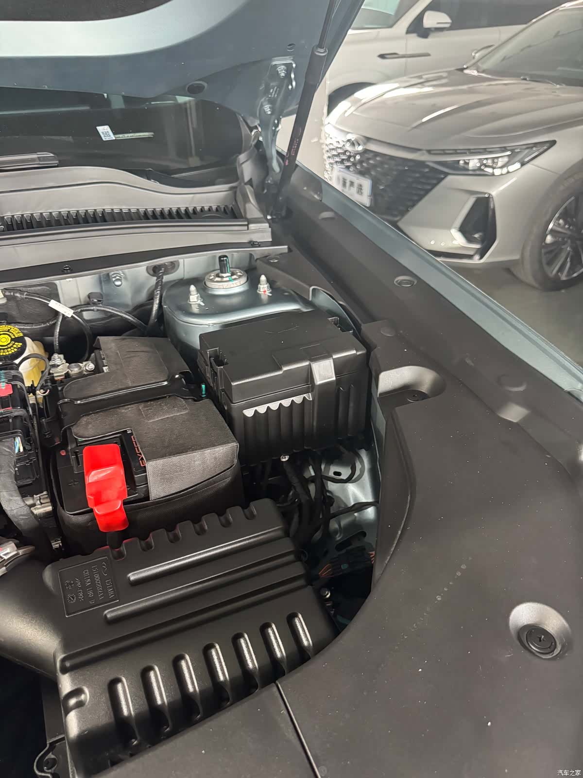 Chery 06, 2024 31