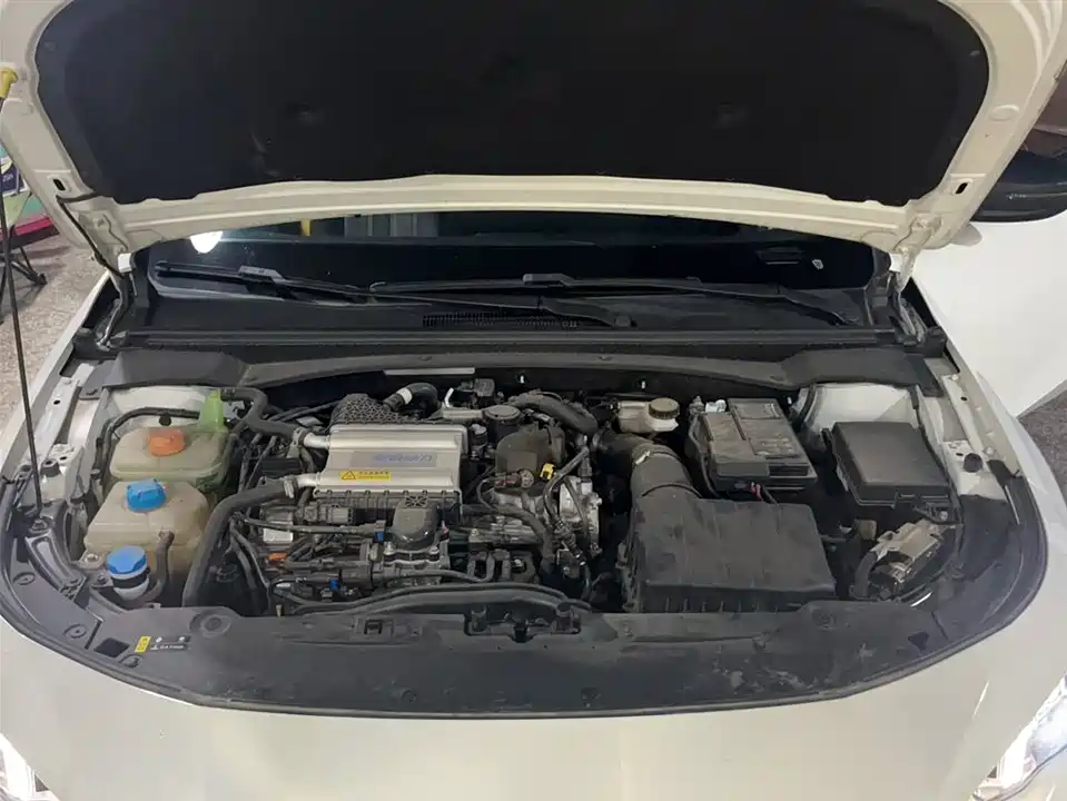 Trumpchi Shadow Leopard