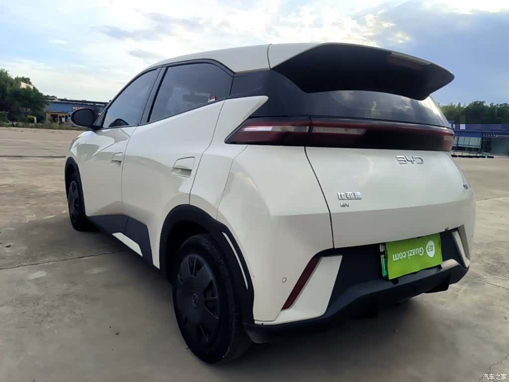BYD Seagull, 2024 все фото