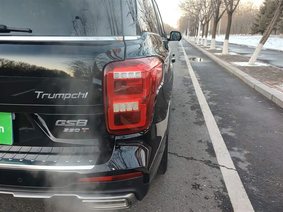 Trumpchi Trumpchi GS8