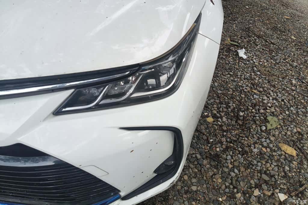 Toyota Corolla, 2021 все фото