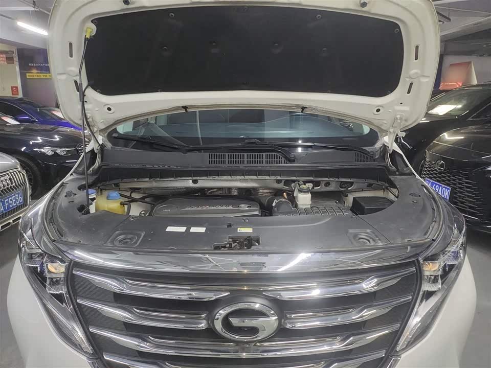 Trumpchi Trumpchi M8