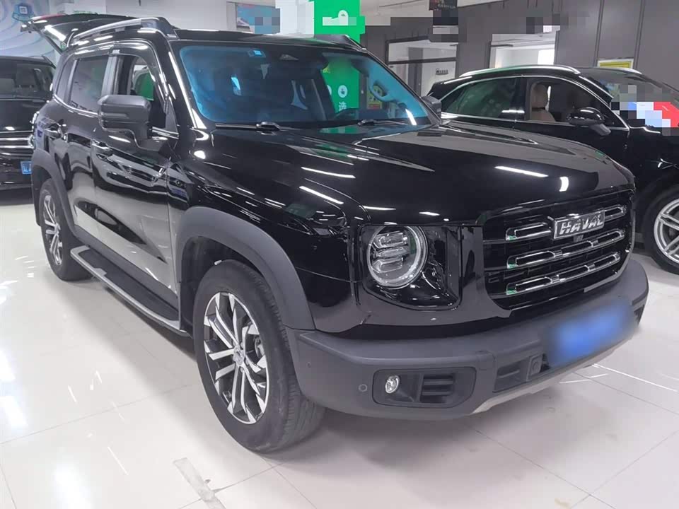 Haval Big dog