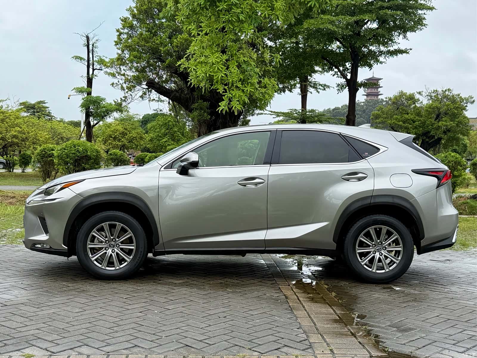 Lexus NX, 2020 14