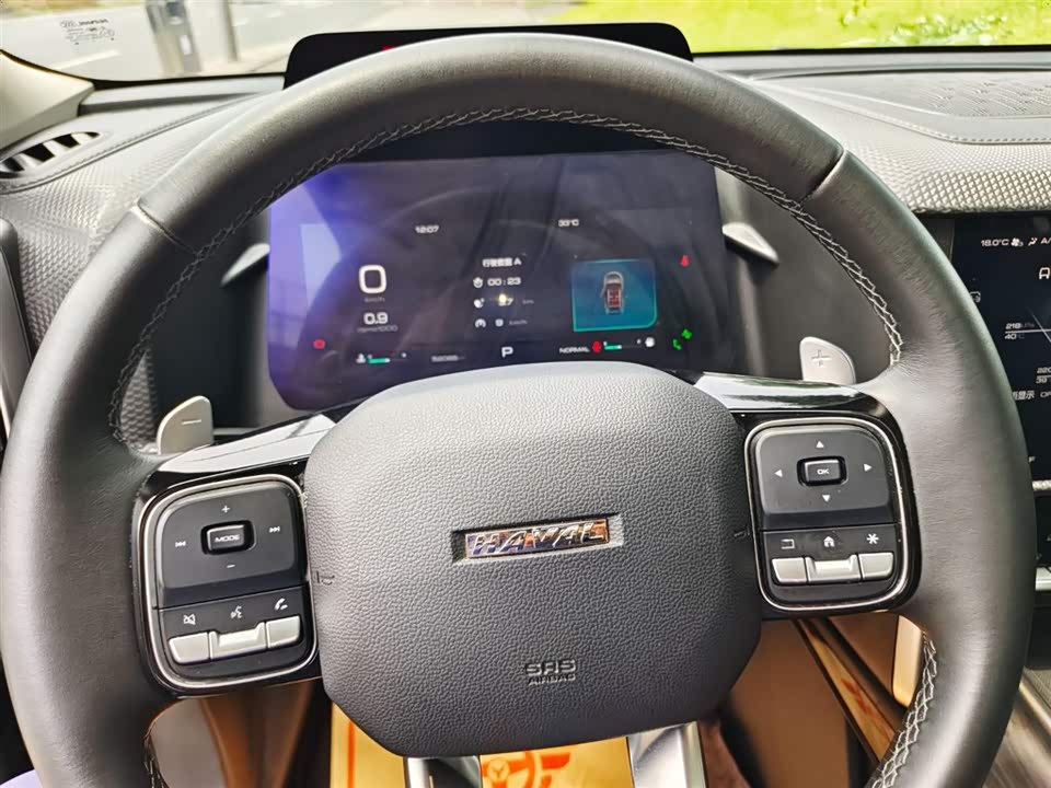 Haval Big dog