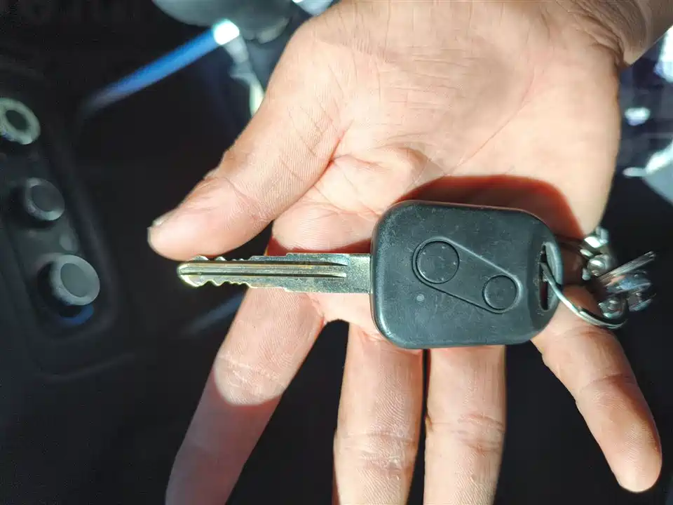 Jinbei Golden Sea Lion M Classic