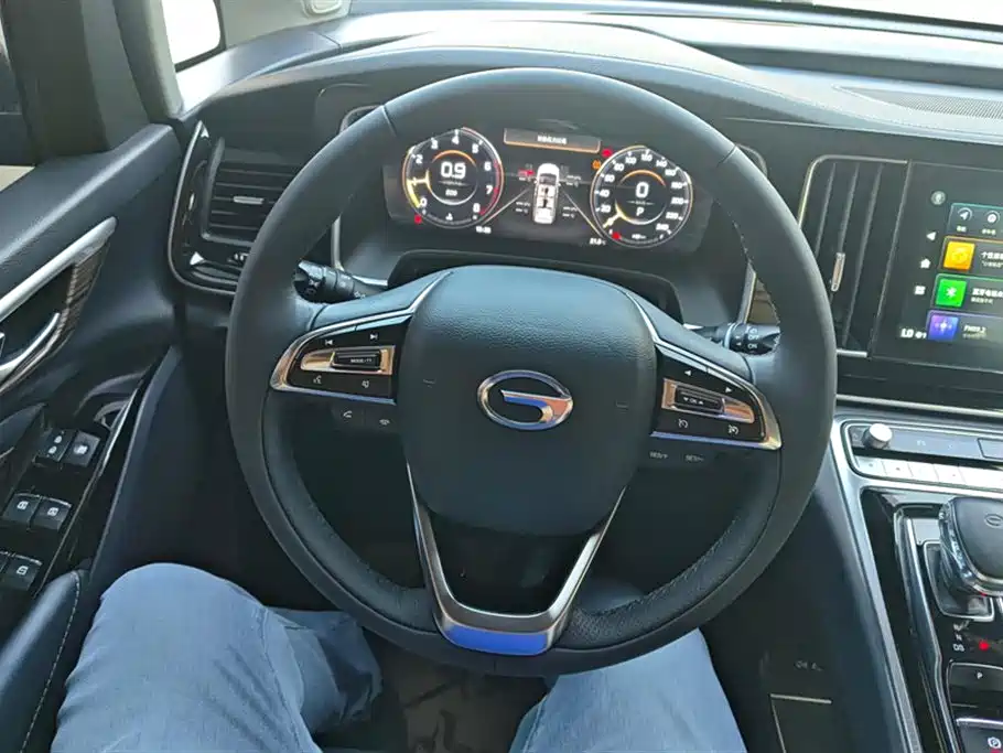 Trumpchi Trumpchi M8