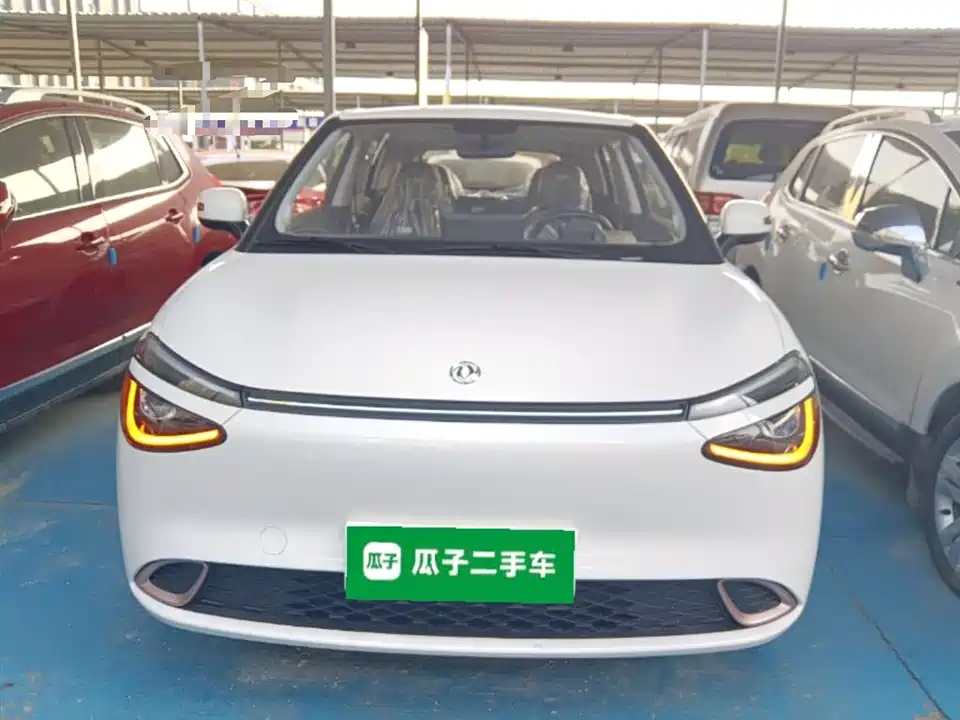 Dongfeng Nammi Nano 01