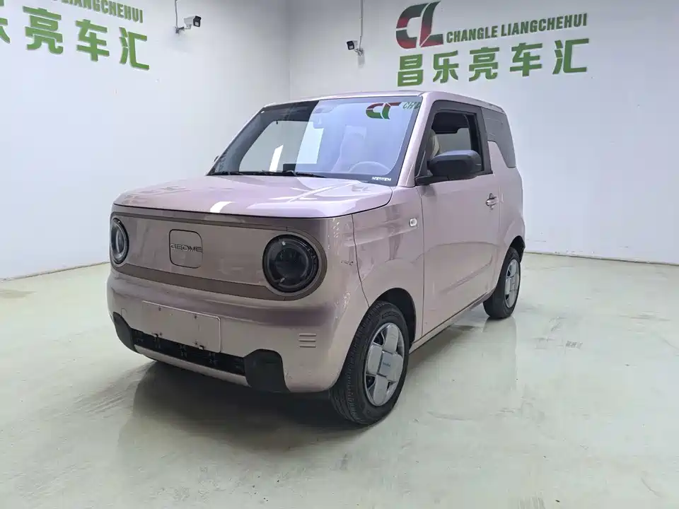 Geely Galaxy panda