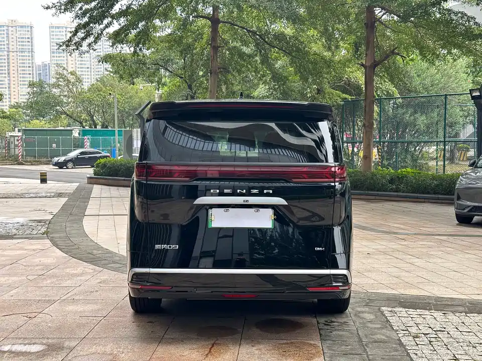 Denza D9