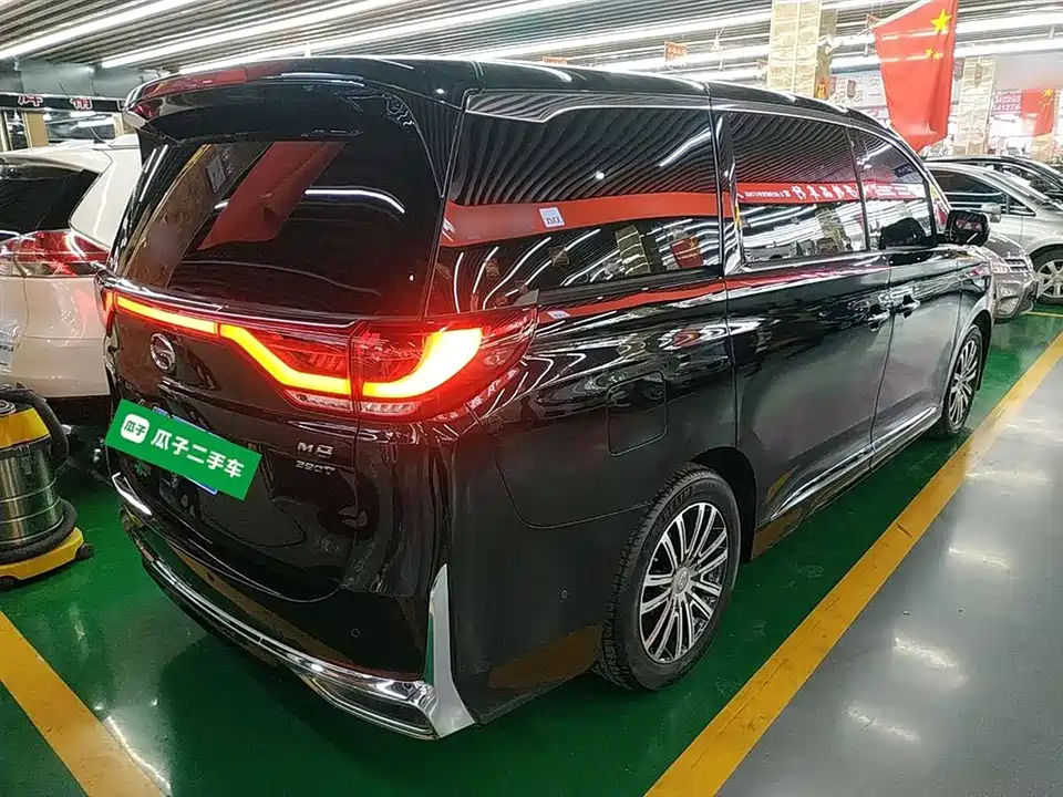 Trumpchi Trumpchi M8