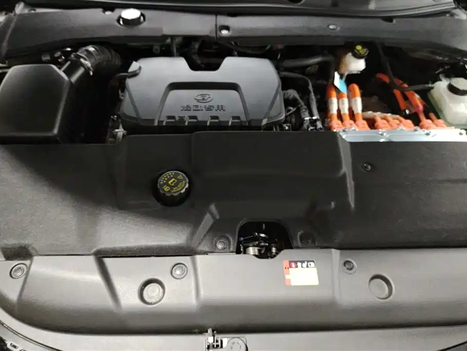 Wuling Wuling Starlight