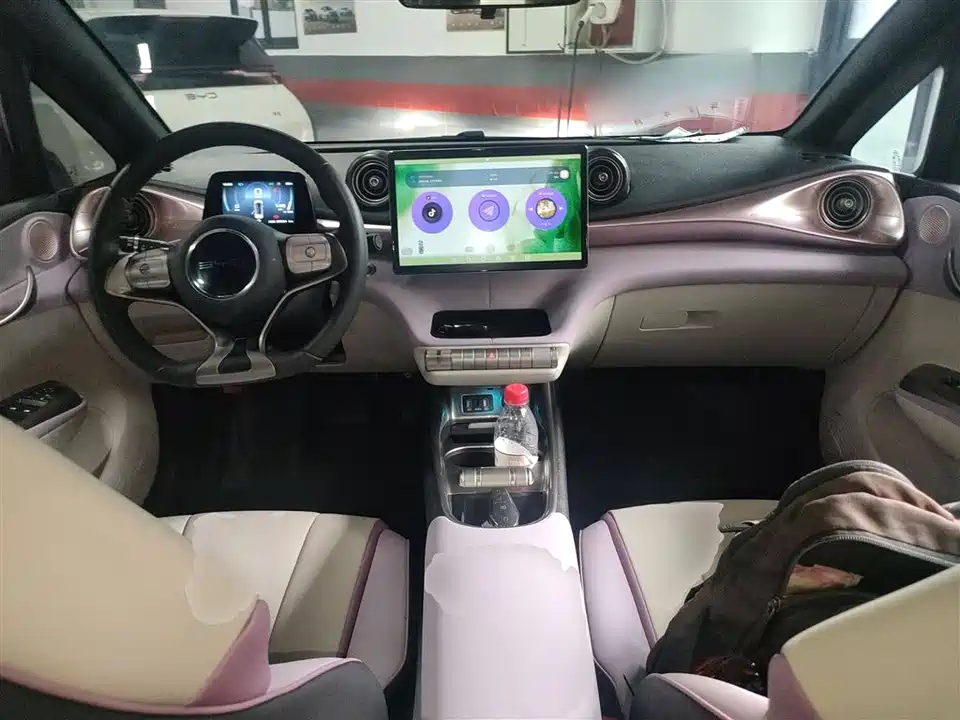 BYD dolphin