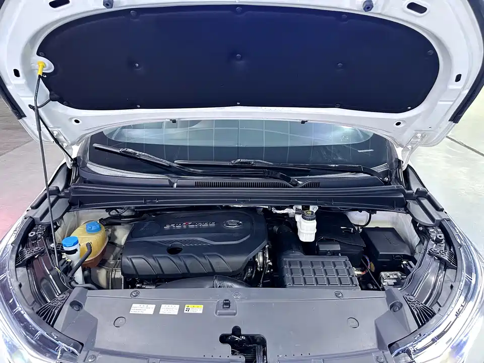 Trumpchi Trumpchi M6