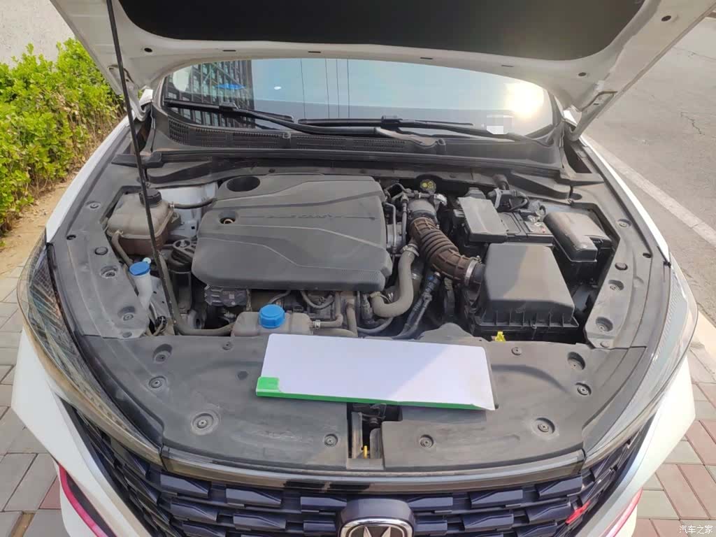 Changan Eado, 2023 11